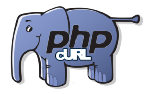 How to make curl request in a php method with custom headers